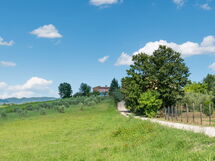 Agriturismo le Due Querce