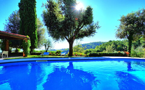 Villa Ulivacci: Blauw, Zwembad, Tuin, Landscaping, Vrije Tijd, Eco Hotel, Toevlucht, Schaduw, Hacienda, Backyard