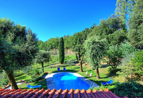 Villa Ulivacci: Blauw, Tuin, Zwembad, Gazon, Schaduw, Backyard, Landscaping, Park, Werf, Buitenmeubels