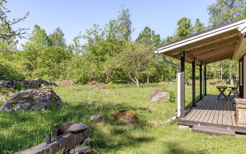 Holmen: Gras, Struik, Land Lot, Plantengemeenschap, Landelijk Gebied, Groundcover, Verblijf, Tuin, De Lente