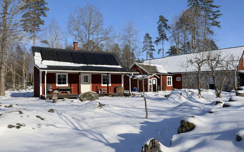Holmen: Struik, Huis, Huis, Landgoed, Herenhuis, Historisch Huis, Villa, Siding