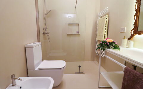 Bacchus: Historic Charming Home: Badkamer, Wc Bril, Loodgieterswerkinrichting, Toilet, Flooring, Muur, Verdieping, Interieur Ontwerp, Wastafel In De Badkamer, Wastafel