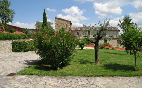 Agriturismo le Case Rosse di Montebuono: Gras, Struik, Landschap, Land Lot, Tuin, Gazon, Landscaping, Werf, Plantage