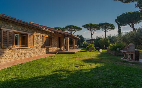 Villa Bolgheri Vermentino Castagneto Carducci