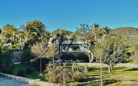 Villa the Marvel: Boom, Blad, Vegetation, Landschap, Struik, Tuin, Landscaping, Schaduw