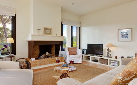 Villa Crab: Meubilair, Interieur Ontwerp, Muur, Bankstel, Flooring, Woonkamer, Hout, Verdieping, Plafond, Kamer
