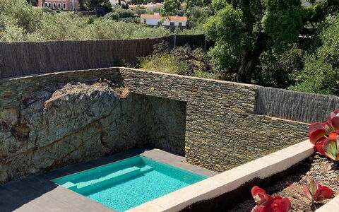 Villa Luisa: Stenen Muur, Zwembad, Waterpartij, Tuin, Landscaping, Backyard, Schaduw, Flagstone, Eco Hotel