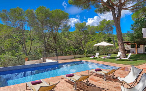 Villa Cassiopea: Zwembad, Toevlucht, Buitenmeubels, Schaduw, Tuin, Eco Hotel, Ligstoel, Landscaping, Villa, Backyard