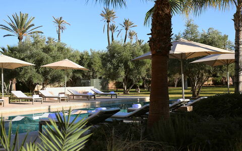 Villa Eleganza: Zwembad, Toevlucht, Buitenmeubels, Ligstoel, Schaduw, Stoel, Landscaping, Eco Hotel, Hotel