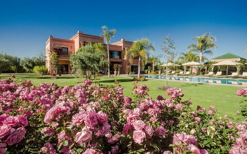 Villa Annarosa: Tuin, Landgoed, Herenhuis, Landscaping, Toevlucht, Hacienda, Gazon, Villa, Eco Hotel