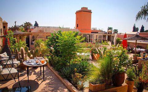 Riad Ikram: Bloempot, Kamerplant, Tuin, Stoel, Landscaping, Buitenmeubels, Hacienda, Patio, Eco Hotel, Werf