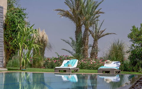 Villa Orange Trees: Zwembad, Toevlucht, Buitenmeubels, Meubilair, Eco Hotel, Tuin, Ligstoel, Landscaping, Schaduw, Backyard