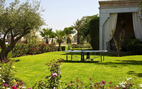 Villa Orange Trees: Boom, Gras, Tuin, Landschap, Struik, Gazon, Land Lot, Schaduw, Werf