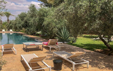 Villa Susan: Zwembad, Buitenmeubels, Ligstoel, Toevlucht, Tuin, Stoel, Schaduw, Backyard, Hacienda, Landscaping