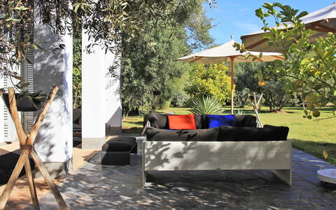 Villa Susan: Meubilair, Buitenmeubels, Schaduw, Tuin, Stoel, Landscaping, Ligstoel, Gazon, Werf, Eco Hotel