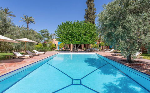 Villa Royale: Zwembad, Toevlucht, Buitenmeubels, Eco Hotel, Schaduw, Thermae, Hacienda, Ligstoel, Tuin, Landgoed