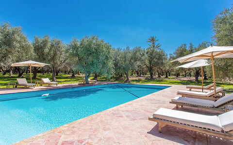 Villa Royale: Blauw, Zwembad, Toevlucht, Schaduw, Landscaping, Tuin, Eco Hotel, Buitenmeubels, Hacienda