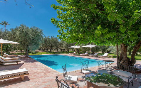 Villa Royale: Zwembad, Toevlucht, Buitenmeubels, Schaduw, Landgoed, Tuin, Hacienda, Landscaping, Villa, Reflecting Pool