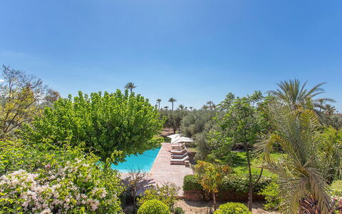 Villa Royale: Struik, Toevlucht, Tuin, Zwembad, Landscaping, Hacienda, Landgoed, Eco Hotel, Schaduw