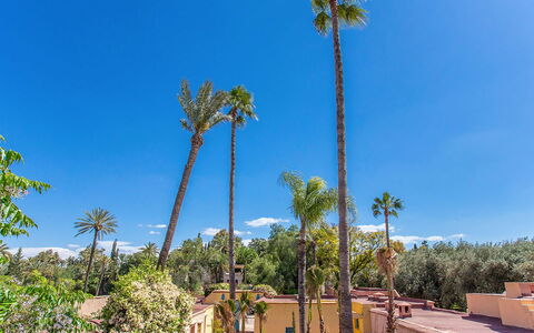 Villa Royale: Blauw, Boom, Vegetation, Woody Plant, Tropen