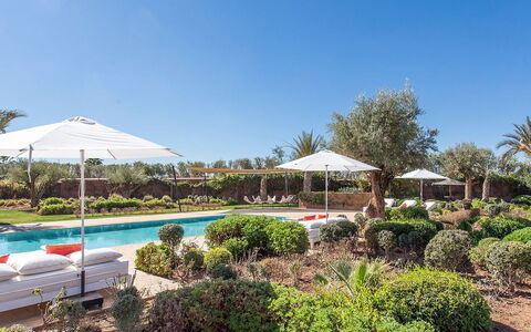 Villa Delizia: Tuin, Toevlucht, Zwembad, Landscaping, Hacienda, Schaduw, Gazon, Landgoed, Eco Hotel