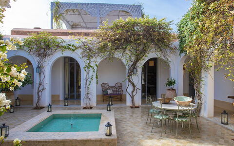 Villa Mauri: Bloempot, Zwembad, Boog, Landgoed, Toevlucht, Binnenplaats, Hacienda, Kamerplant, Schaduw, Eco Hotel