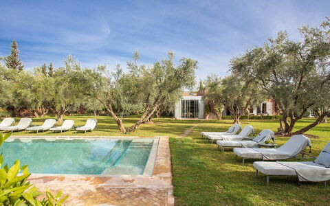 Villa Mauri: Zwembad, Toevlucht, Tuin, Landgoed, Thermae, Landscaping, Buitenmeubels, Park, Backyard, Hacienda