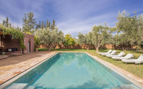 Villa Mauri: Zwembad, Landgoed, Hacienda, Reflectie, Landscaping, Toevlucht, Waterpartij, Binnenplaats, Reflecting Pool