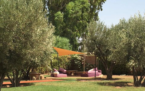 Villa Noria: Tuin, Meubilair, Buitenmeubels, Schaduw, Backyard, Gazon, Trunk, Werf, Stoel, Buitentafel