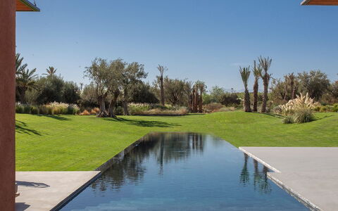 Villa Palmeraie: Reflectie, Zwembad, Landscaping, Vijver, Reflecting Pool, Schaduw, Waterpartij