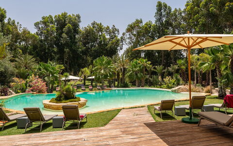 Le Jardin Mogador: Boom, Zwembad, Toevlucht, Tuin, Eco Hotel, Landscaping, Schaduw, Hacienda, Landgoed