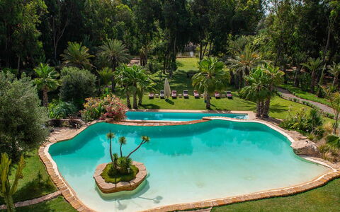 Le Jardin Mogador: Zwembad, Water, Boom, Toevlucht, Tuin, Vrije Tijd, Waterpartij, Eco Hotel, Landscaping, Hacienda