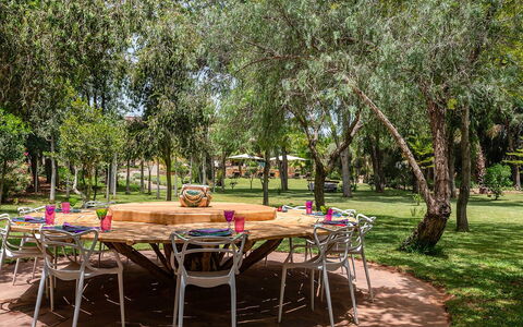 Le Jardin Mogador: Boom, Meubilair, Tuin, Schaduw, Gazon, Buitenmeubels, Park, Backyard, Stoel, Werf
