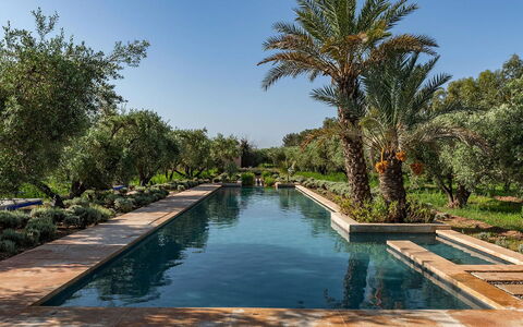 Dar Moon: Water, Zwembad, Reflectie, Tuin, Toevlucht, Reflecting Pool, Waterpartij, Hacienda, Landscaping, Landgoed