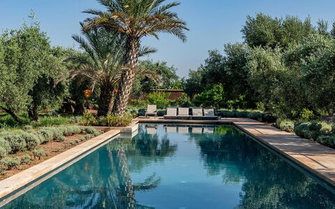 Dar Moon: Zwembad, Reflectie, Toevlucht, Tuin, Reflecting Pool, Hacienda, Landscaping, Landgoed, Waterpartij