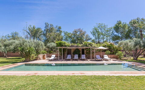 Villa Hasna: Boom, Zwembad, Toevlucht, Schaduw, Tuin, Landgoed, Landscaping, Hacienda, Backyard, Buitenmeubels