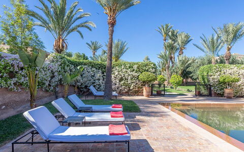 Villa Exotic: Zwembad, Toevlucht, Buitenmeubels, Tuin, Landscaping, Eco Hotel, Hacienda, Schaduw, Ligstoel