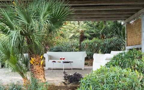 Villa Milo: Vegetation, Struik, Tuin, Plantengemeenschap, Buitenmeubels, Schaduw, Landscaping, Backyard, Eco Hotel
