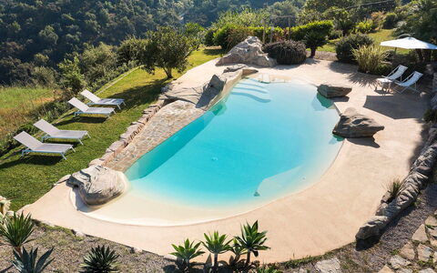 Villa Milo: Blauw, Water, Zwembad, Toevlucht, Vrije Tijd, Buitenmeubels, Vakantie, Tropen, Eco Hotel, Paraplu