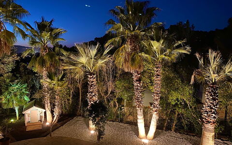 Villa Joel: Nacht, Tuin, Landschap Verlichting, Woody Plant, Landscaping
