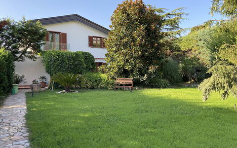 Villa Ava: Gras, Huis, Tuin, Struik, Woongebied, Huis, Gazon, Land Lot, Backyard