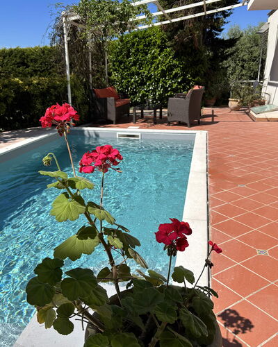 Villa Ava