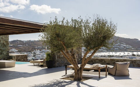 Villa Medea: Meubilair, Stoel, Buitenmeubels, Natuurlijk Materiaal, Schaduw, Kamerplant, Flagstone, Bloempot, Woonkamer, Koffietafel