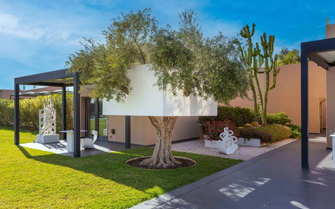 Villa Malika: Struik, Tuin, Schaduw, Landscaping, Woody Plant, Werf, Backyard, Eco Hotel, Gazon