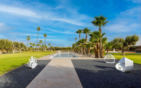 Villa Malika: Boom, Woody Plant, Landscaping, Gang, Tropen, Park