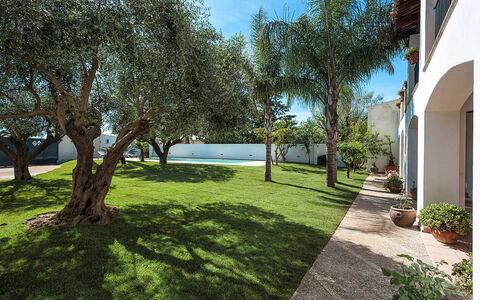 Casa Kita: Tuin, Schaduw, Gazon, Landscaping, Landgoed, Woody Plant, Backyard, Werf, Hacienda, Binnenplaats