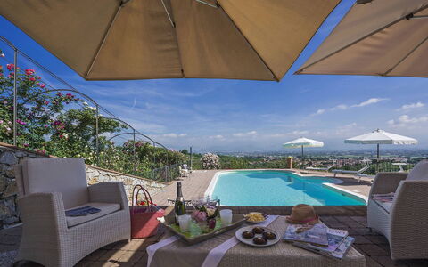 Villa delle Rose: Zwembad, Toevlucht, Buitenmeubels, Paraplu, Stoel, Hotel, Badplaats, Eco Hotel, Villa, Kamerplant