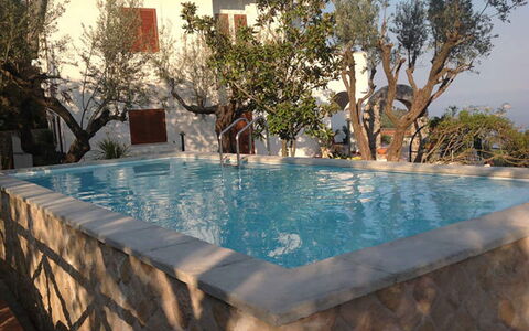 Villa Sea Breeze: Zwembad, Samengesteld Materiaal, Waterpartij, Toevlucht, Eco Hotel, Backyard, Buitenmeubels, Kamerplant, Villa, Bloempot