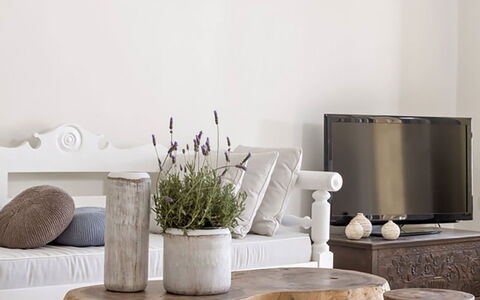 Campani Villa: Meubilair, Hout, Kussen Gooien, Woonkamer, Natuurlijk Materiaal, Koffietafel, Hoofdkussen, Ontwerp, Kussen, Hardwood