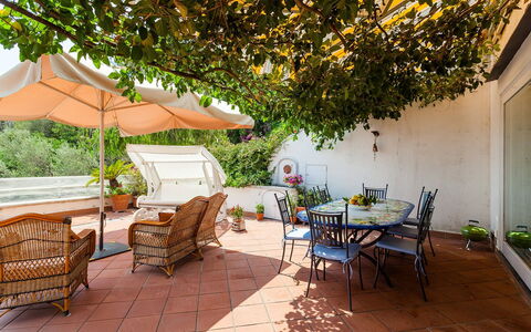 Casa Dorothea 2: Meubilair, Bloempot, Tafel, Stoel, Buitenmeubels, Kamerplant, Buitentafel, Tuin, Keuken En Eettafel, Patio